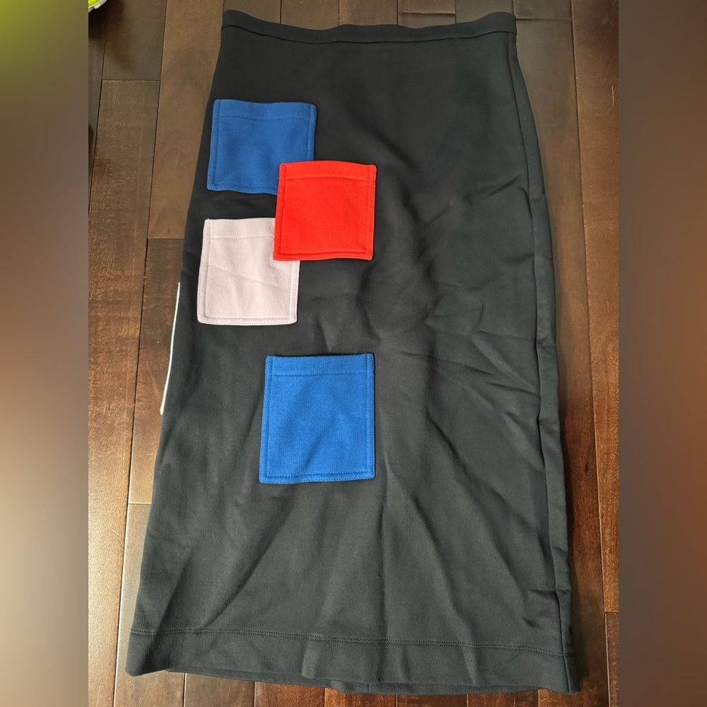 Tibi prototype skirt.  Size 4